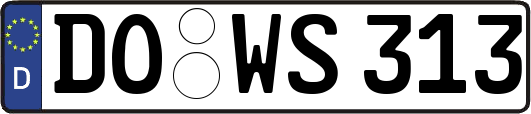 DO-WS313