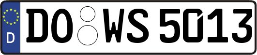 DO-WS5013