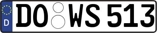DO-WS513