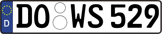 DO-WS529