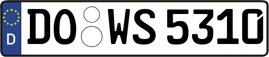 DO-WS5310