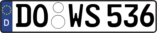 DO-WS536