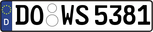 DO-WS5381