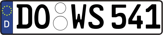 DO-WS541