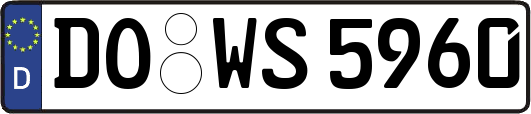DO-WS5960