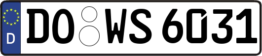 DO-WS6031