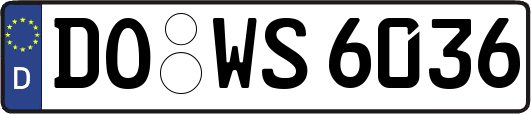 DO-WS6036