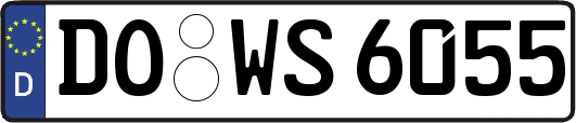 DO-WS6055