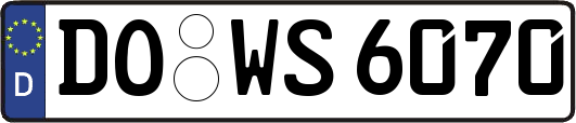 DO-WS6070