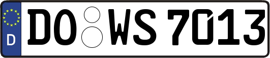 DO-WS7013
