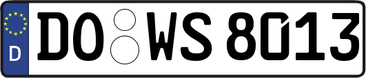 DO-WS8013