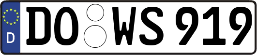 DO-WS919