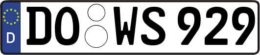 DO-WS929