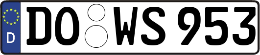 DO-WS953