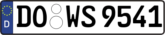 DO-WS9541