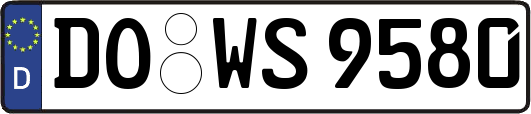 DO-WS9580