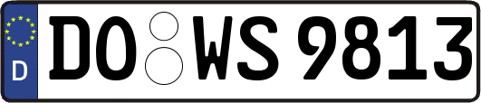 DO-WS9813