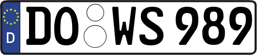 DO-WS989