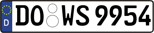 DO-WS9954