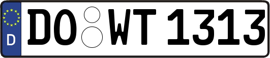 DO-WT1313