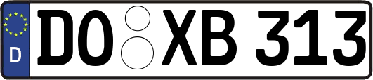 DO-XB313