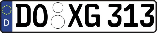 DO-XG313