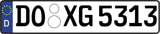 DO-XG5313