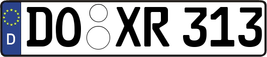 DO-XR313