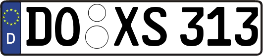 DO-XS313