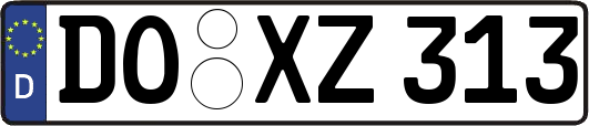 DO-XZ313