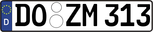 DO-ZM313