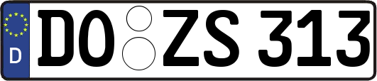 DO-ZS313