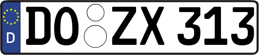 DO-ZX313