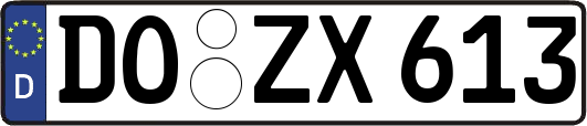 DO-ZX613