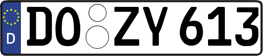 DO-ZY613
