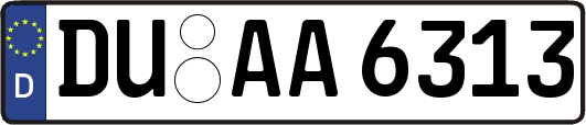 DU-AA6313