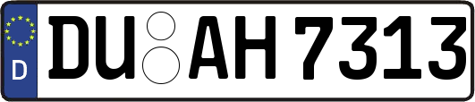 DU-AH7313