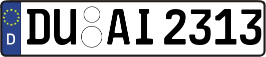 DU-AI2313