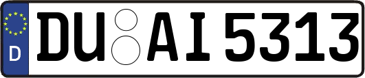 DU-AI5313