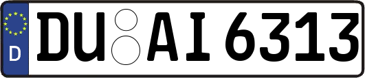 DU-AI6313