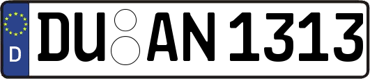 DU-AN1313