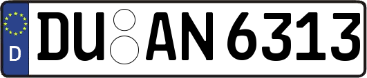 DU-AN6313