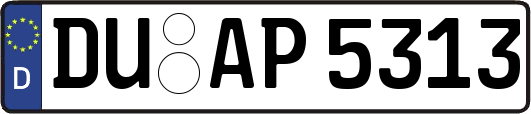 DU-AP5313