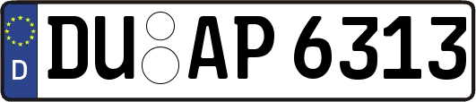 DU-AP6313
