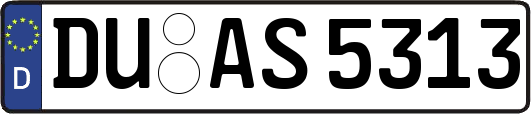 DU-AS5313