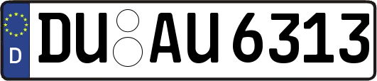 DU-AU6313