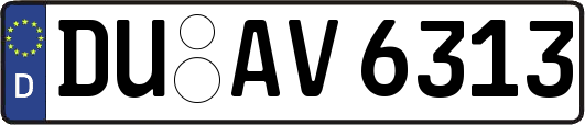 DU-AV6313