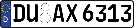DU-AX6313