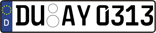 DU-AY0313