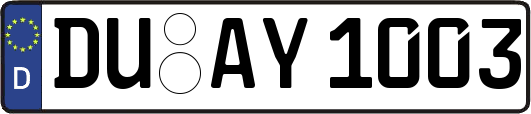 DU-AY1003